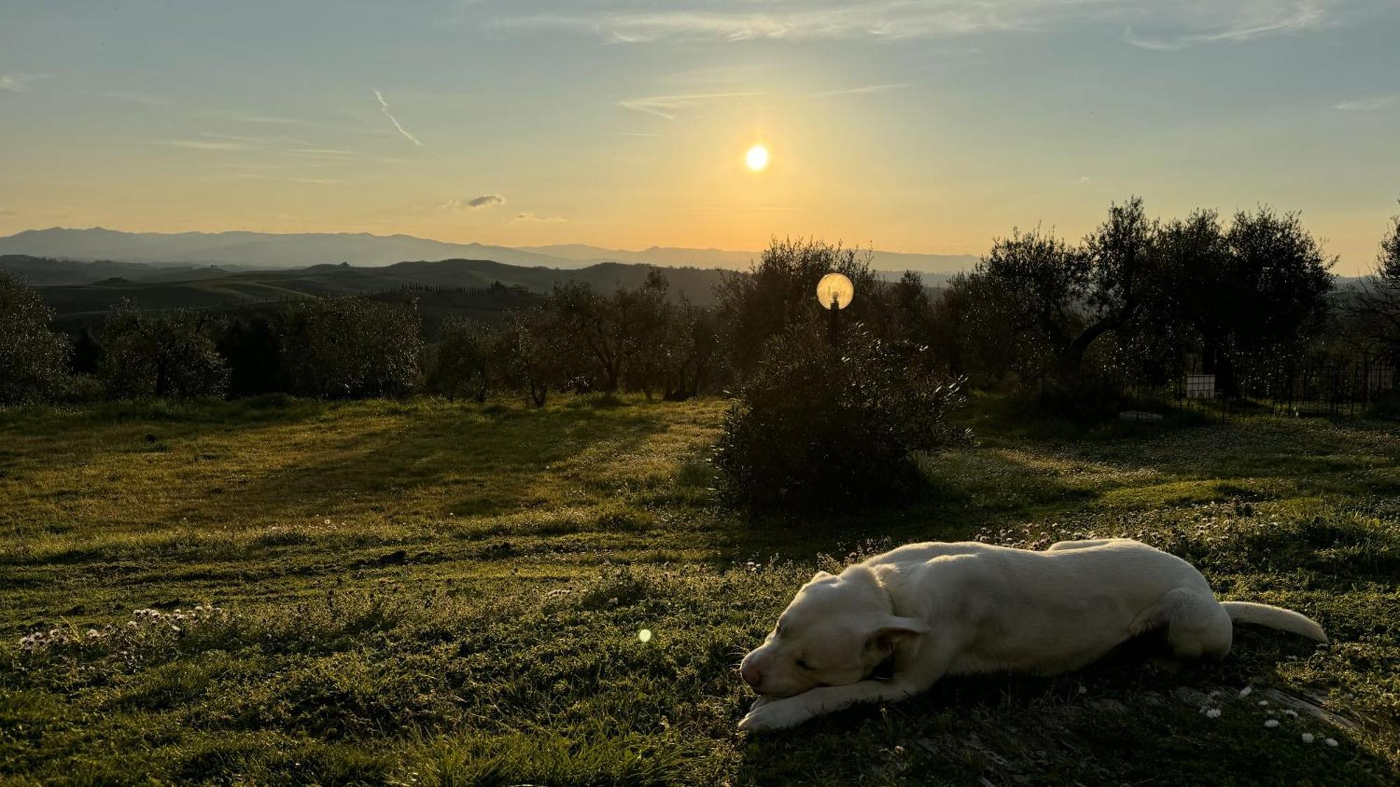 Agriturismo Soiano Famiglia Rolfini Montaione Exteriér fotografie
