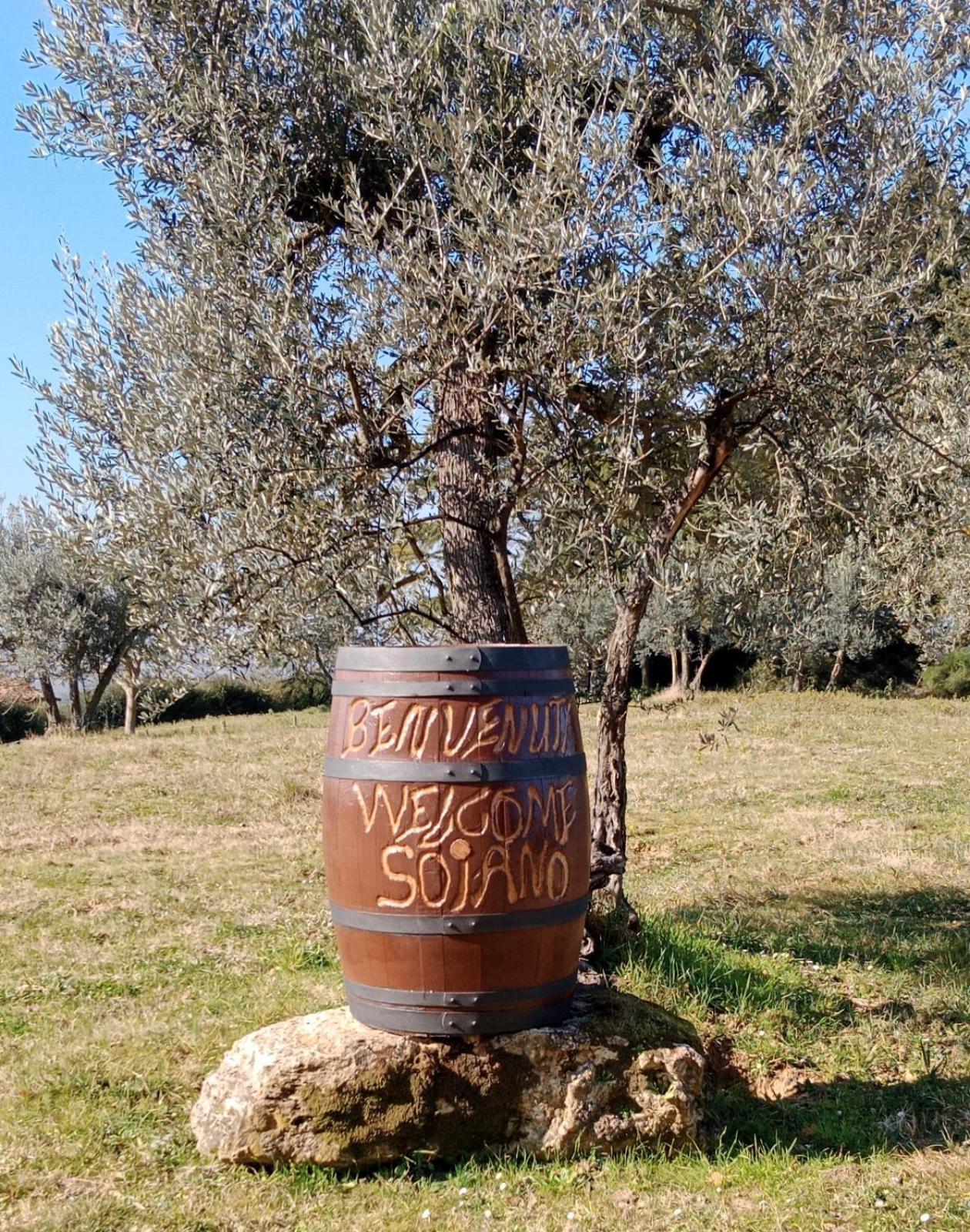 Agriturismo Soiano Famiglia Rolfini Montaione Exteriér fotografie