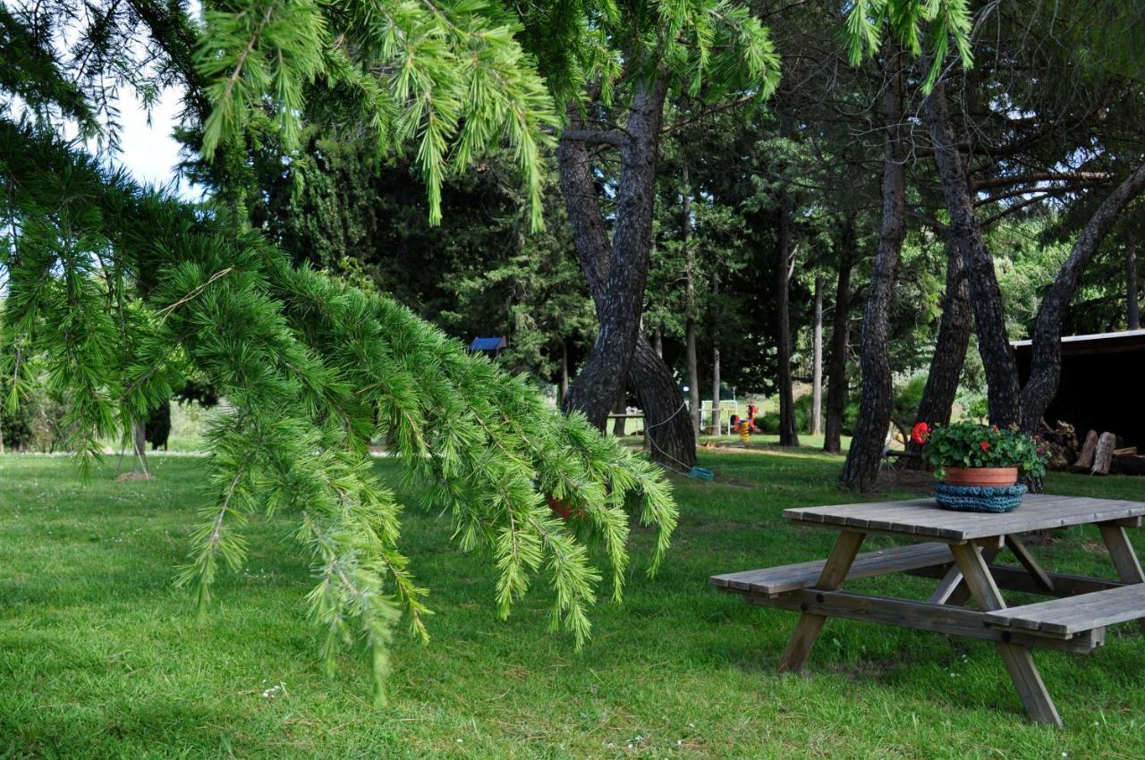 Agriturismo Soiano Famiglia Rolfini Montaione Exteriér fotografie