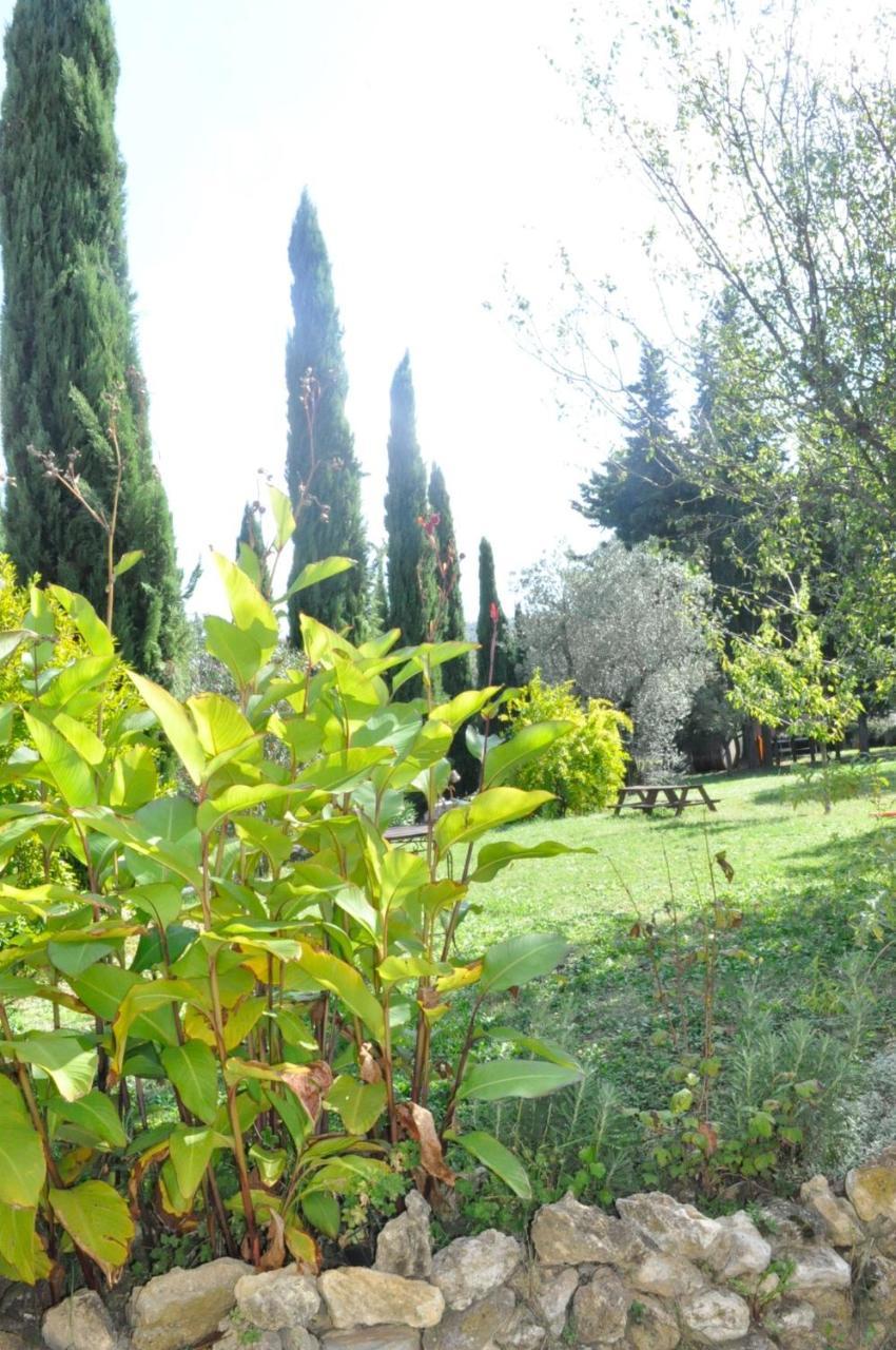 Agriturismo Soiano Famiglia Rolfini Montaione Exteriér fotografie